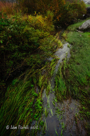 Plum Run